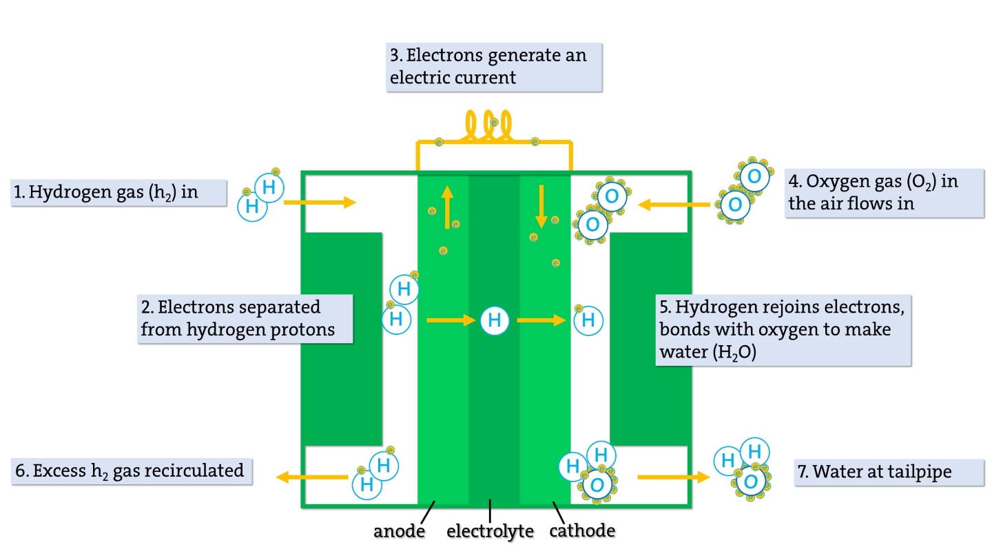 Schematic showing how a hydrogen fuel cell works